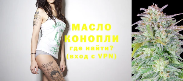 дмт Абаза