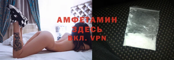прущие грибы Абинск