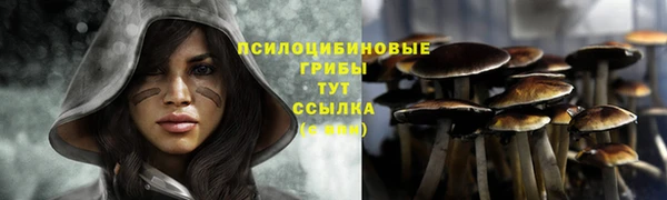твердый Абдулино