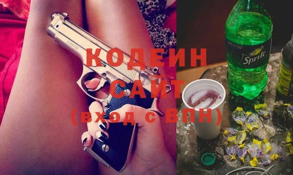 прущие грибы Абинск