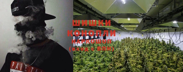 прущие грибы Абинск