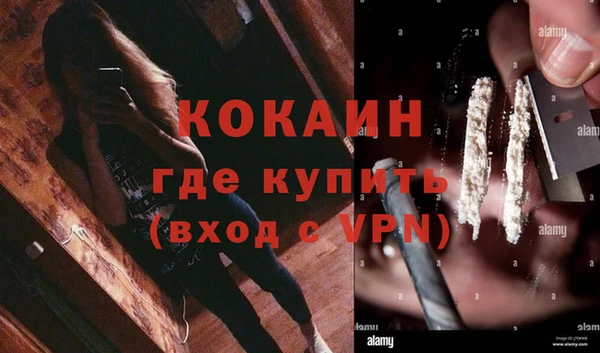 прущие грибы Абинск