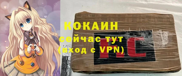 прущие грибы Абинск