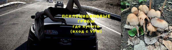 дмт Абаза