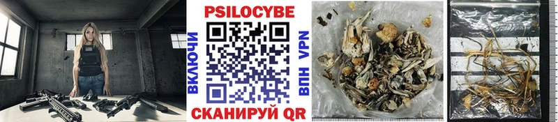 Псилоцибиновые грибы MAGIC MUSHROOMS  ссылка на мегу рабочий сайт  Чегем 