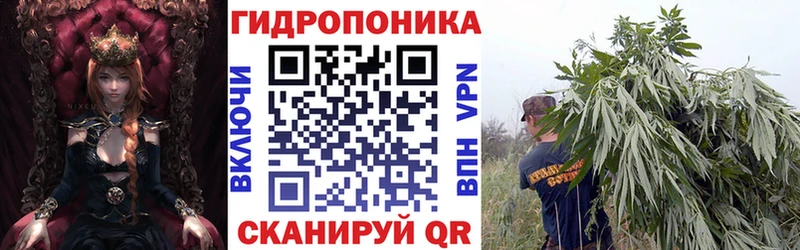 Канабис планчик  купить   Чегем 